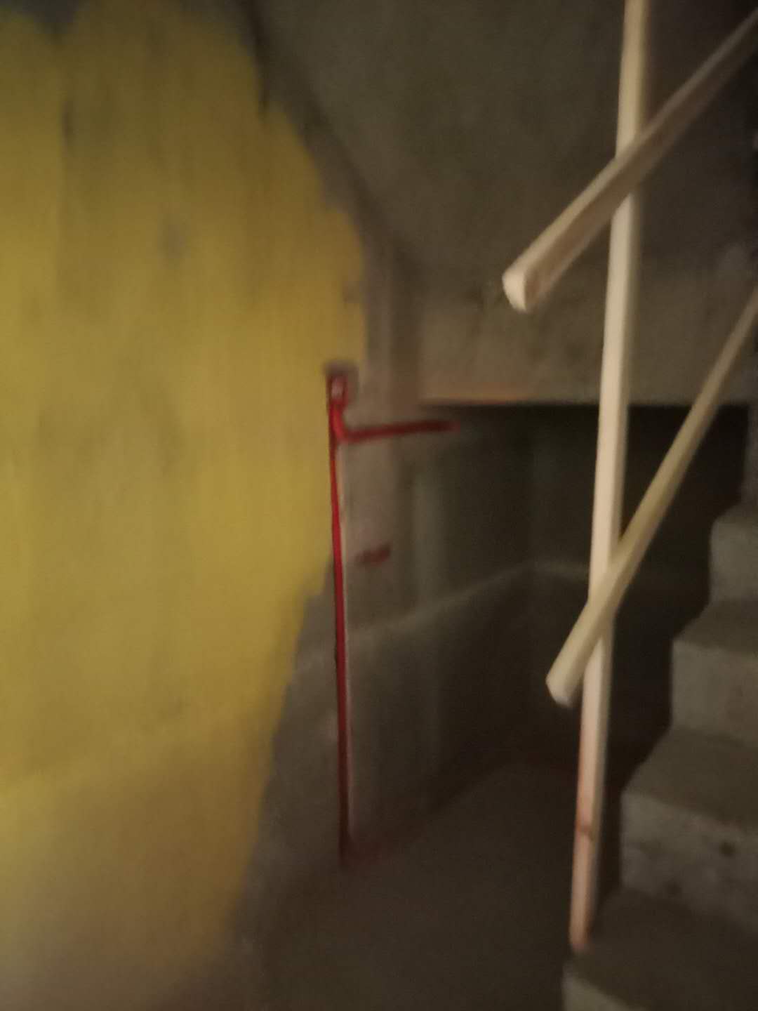 583758052865551963.jpg