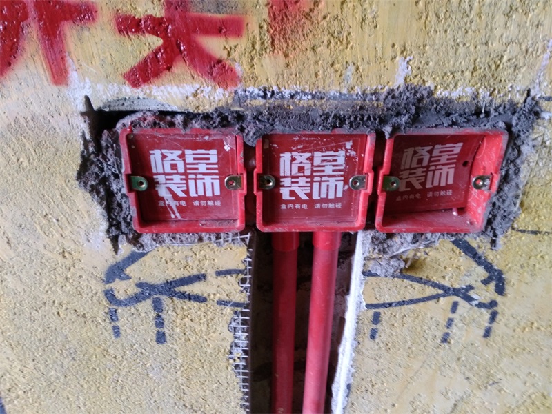 IMG_20180725_095101.jpg