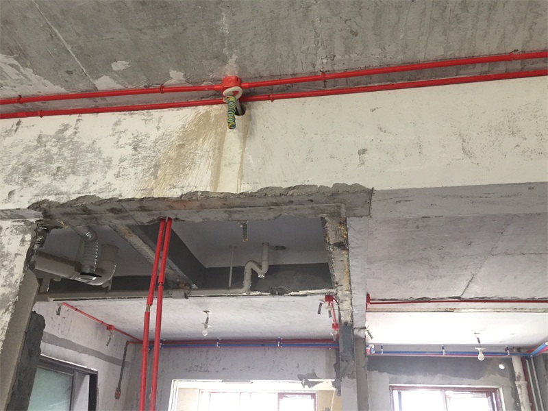 IMG_9222.JPG