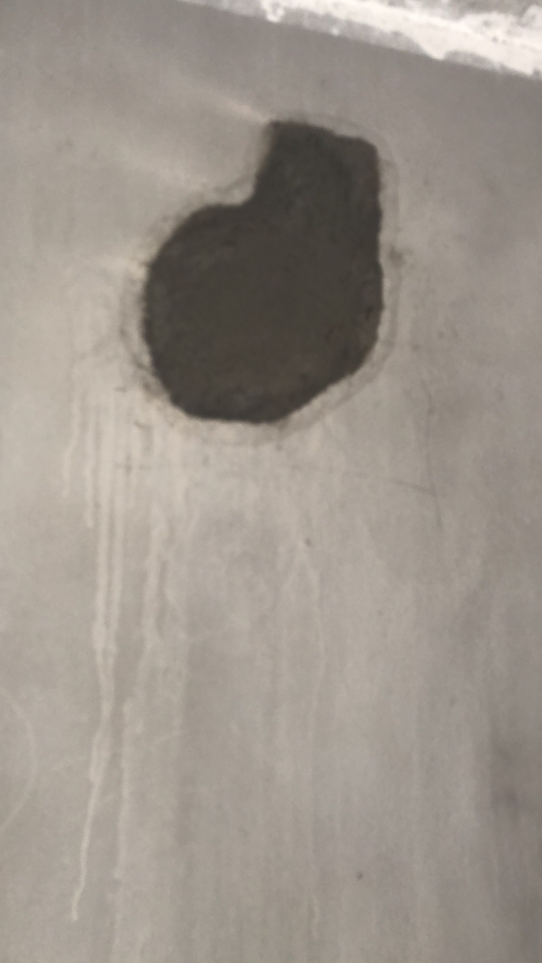 308262104184130512.jpg