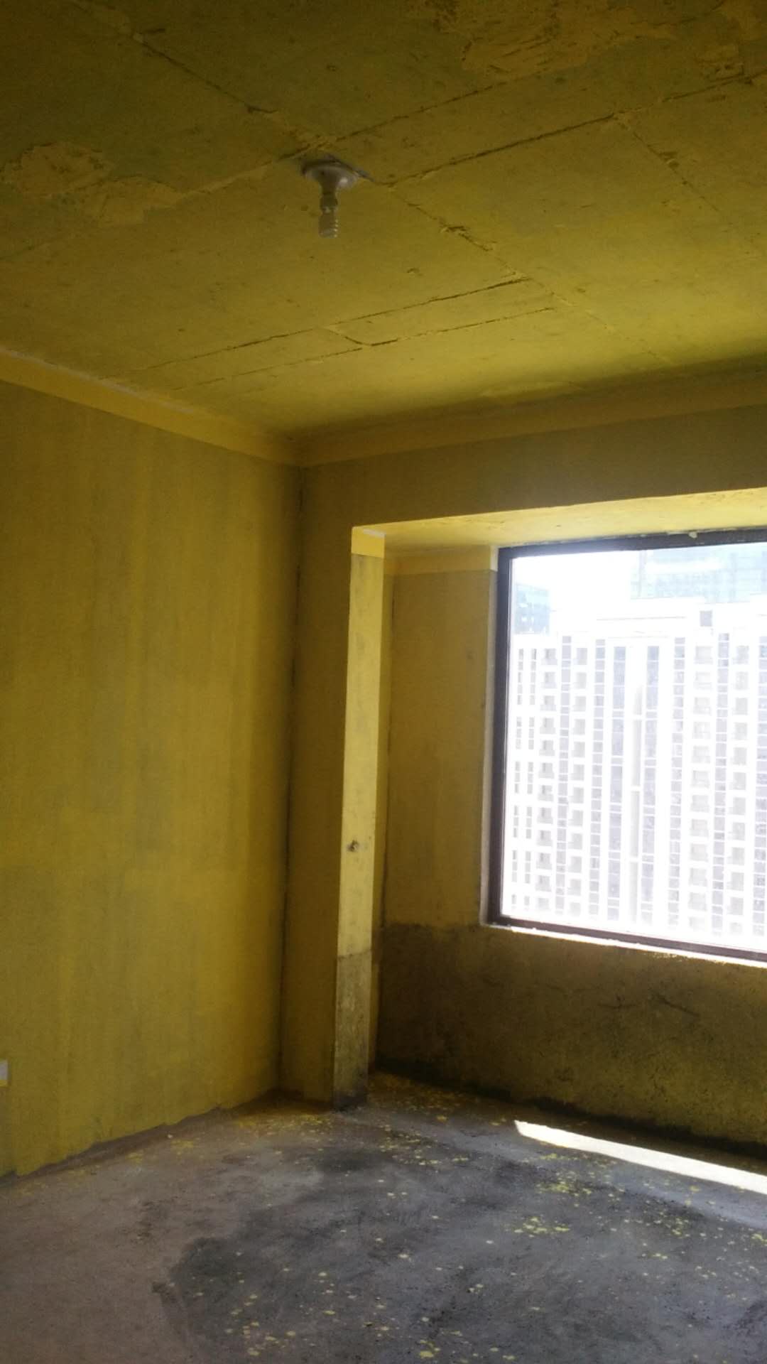 913296286314161063.jpg