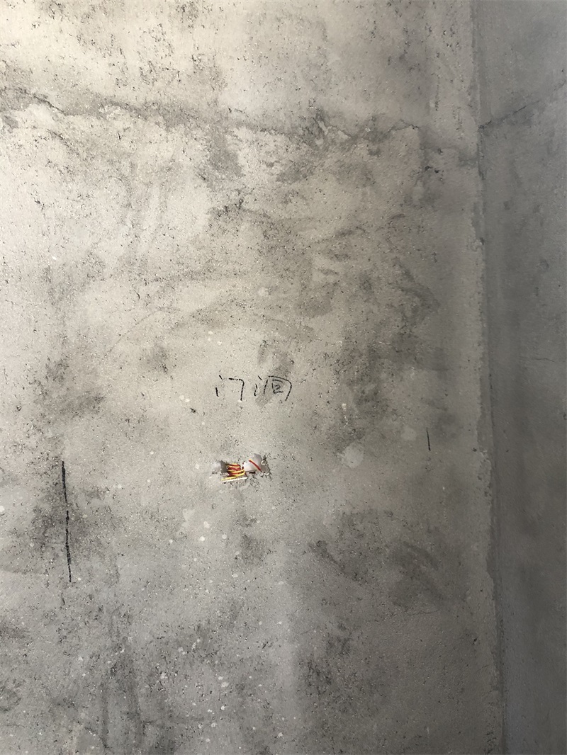 789017480413220169.jpg