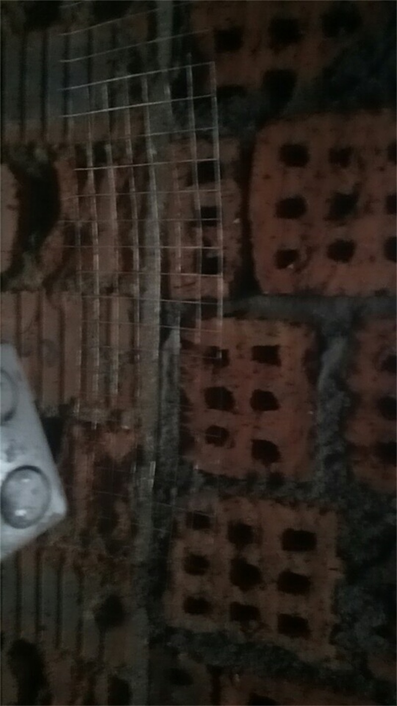 514663937232703415.jpg