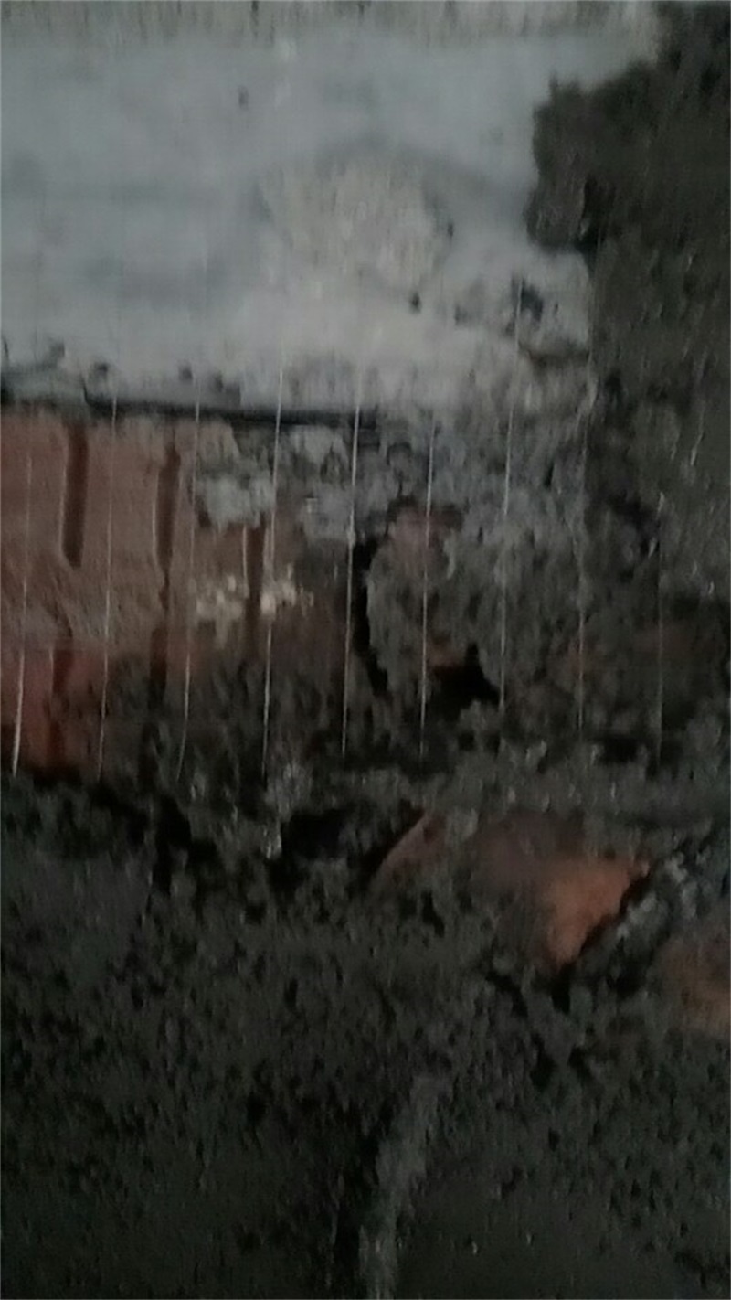 502261079562472303.jpg