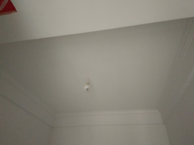 IMG_20180825_160451.jpg