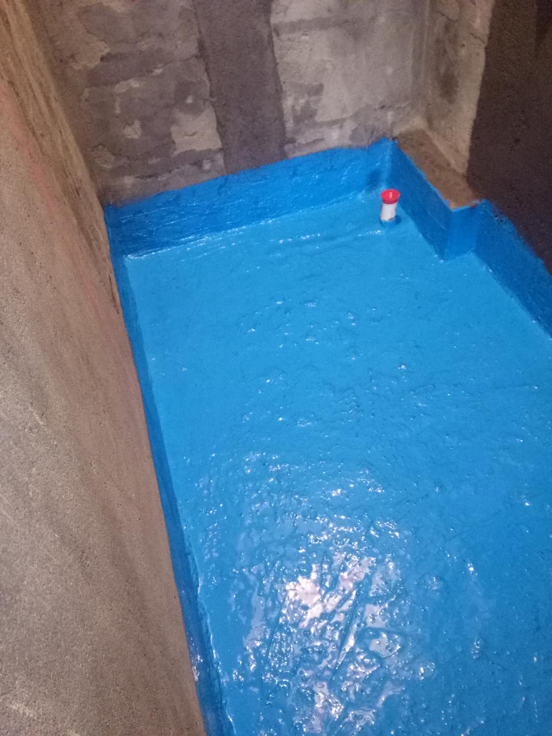 919420917541568656.jpg