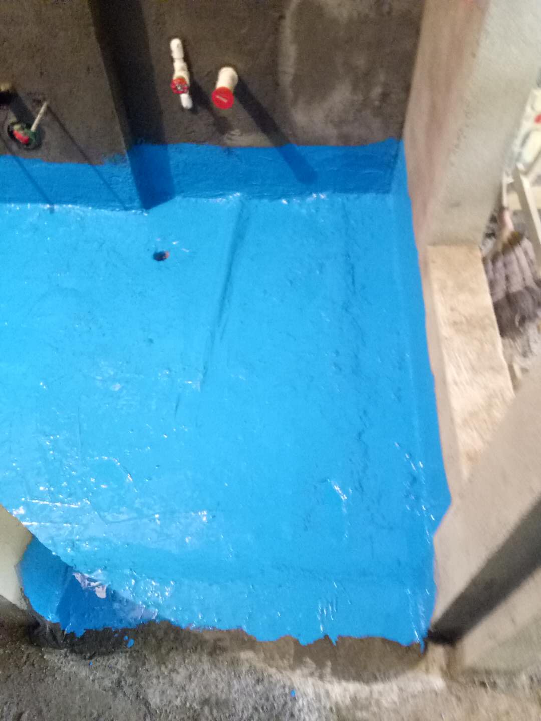 225499984370081587.jpg