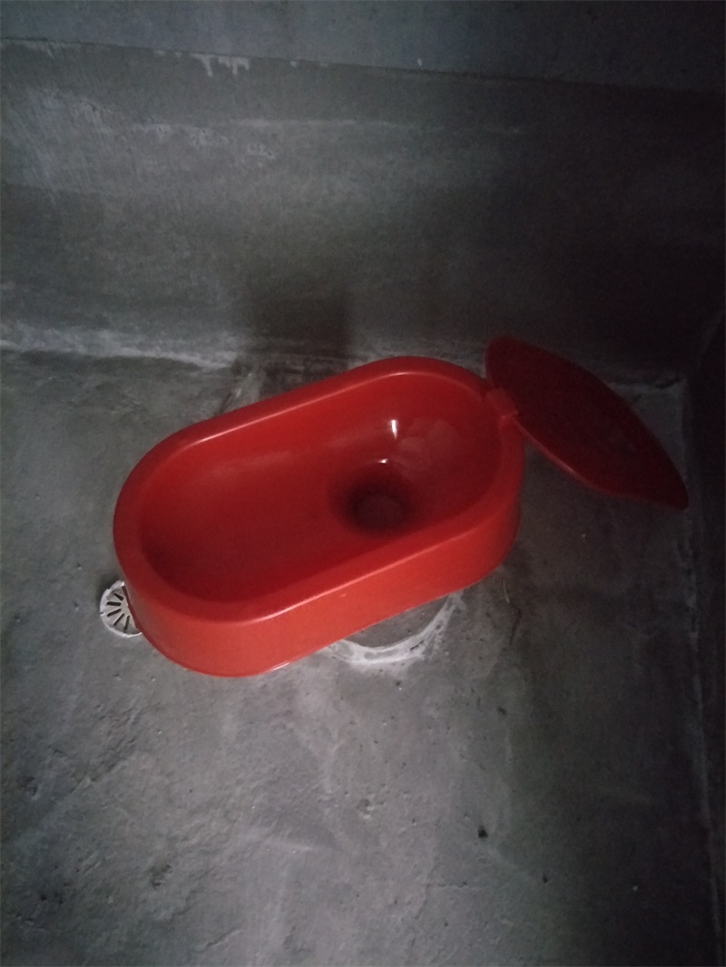 IMG20180829090243.jpg
