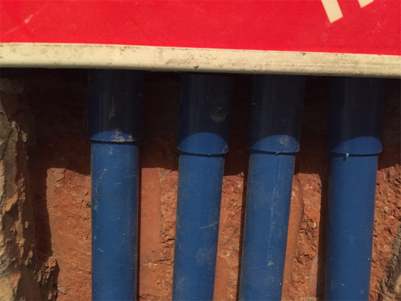 IMG_2117.JPG