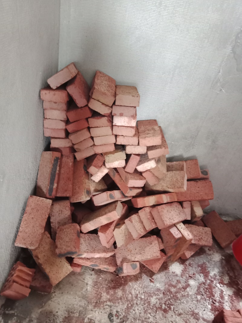 IMG20180911085331.jpg
