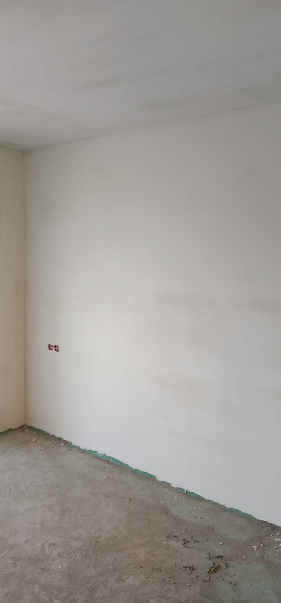 7391026445480002.jpg