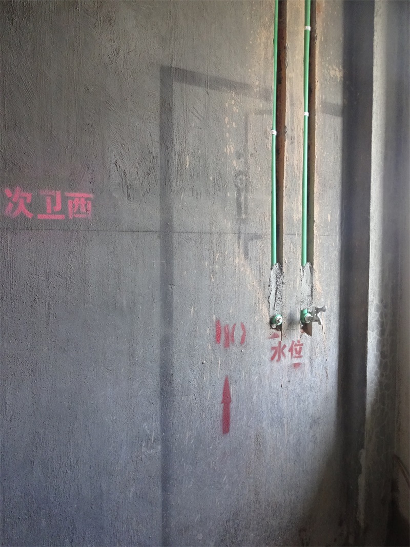 DSC04114.JPG