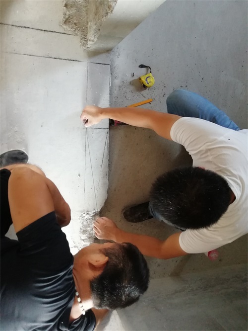 IMG_20180913_132014.jpg