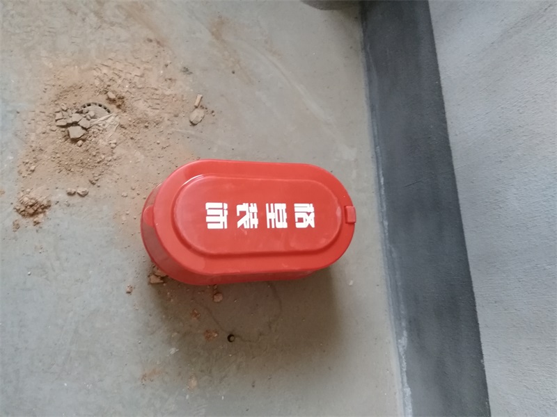 IMG_20180915_084936.jpg