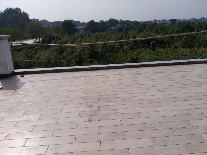 IMG_20180914_091952.jpg
