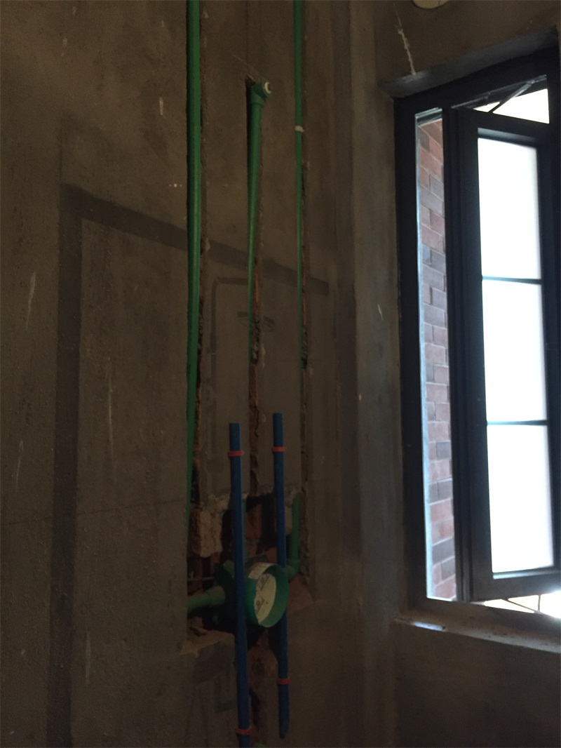 IMG_4219.JPG
