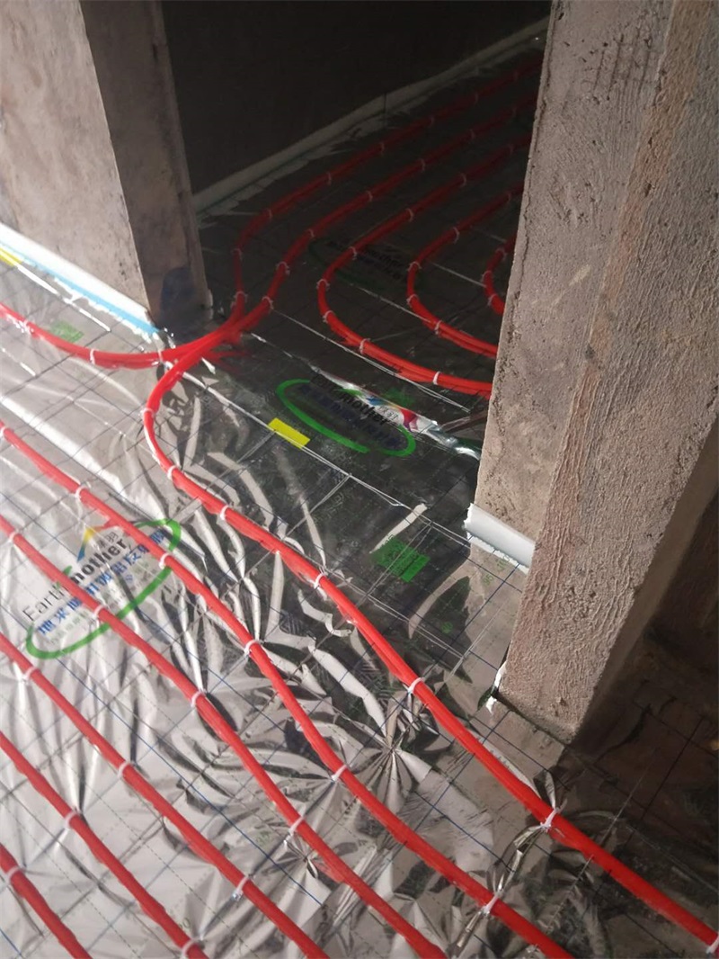 4435948795295544.jpg