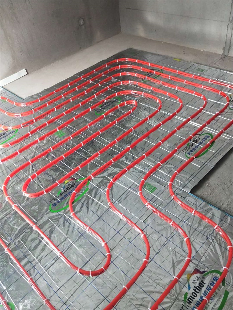 389215122235714885.jpg