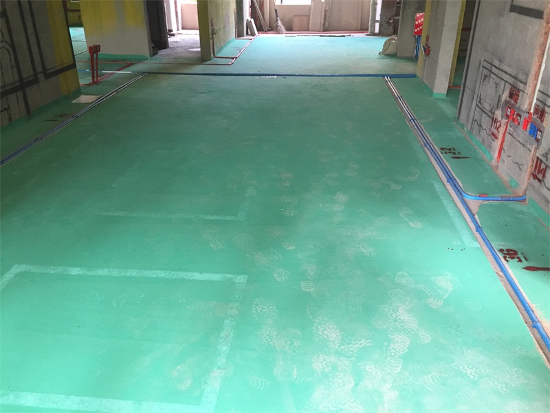 IMG_3742.JPG
