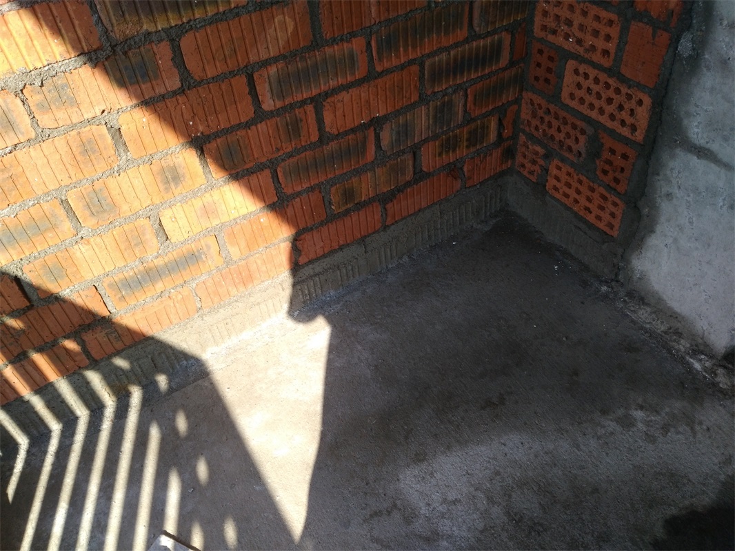 IMG_20180920_084756.jpg