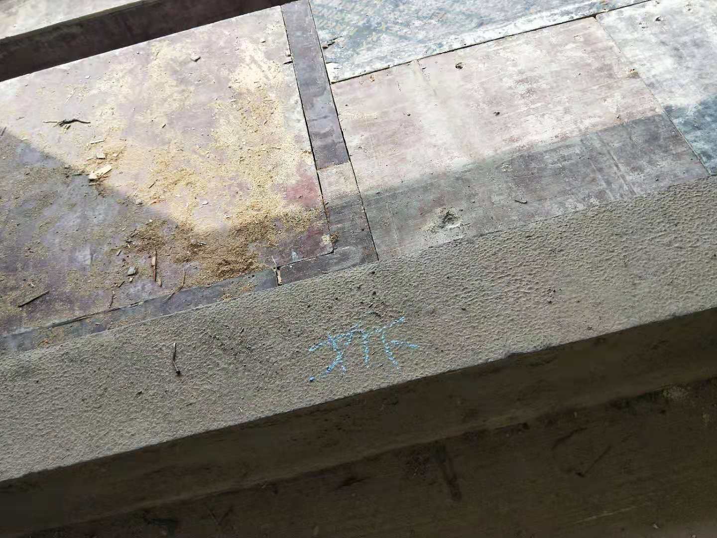 156962510009067193.jpg