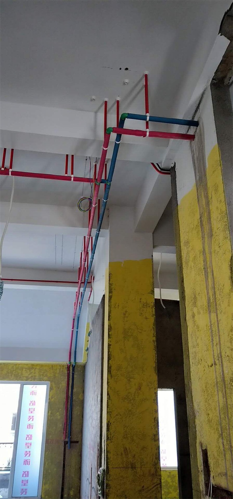 IMG_9818.JPG