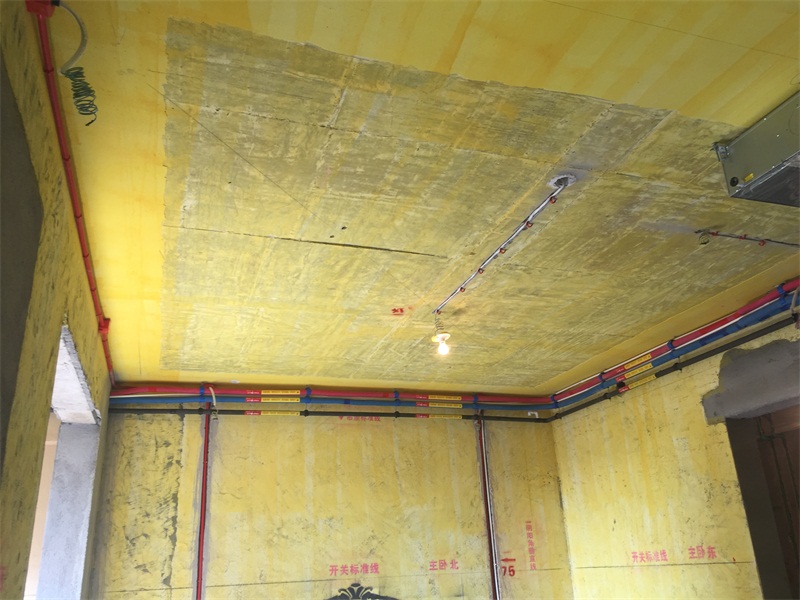 IMG_6285.JPG
