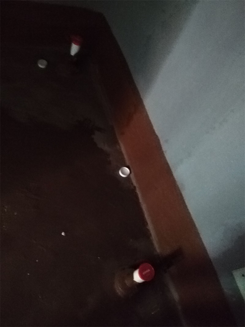 IMG_20180816_081139.jpg
