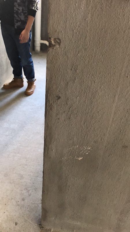 470608771389677006.jpg
