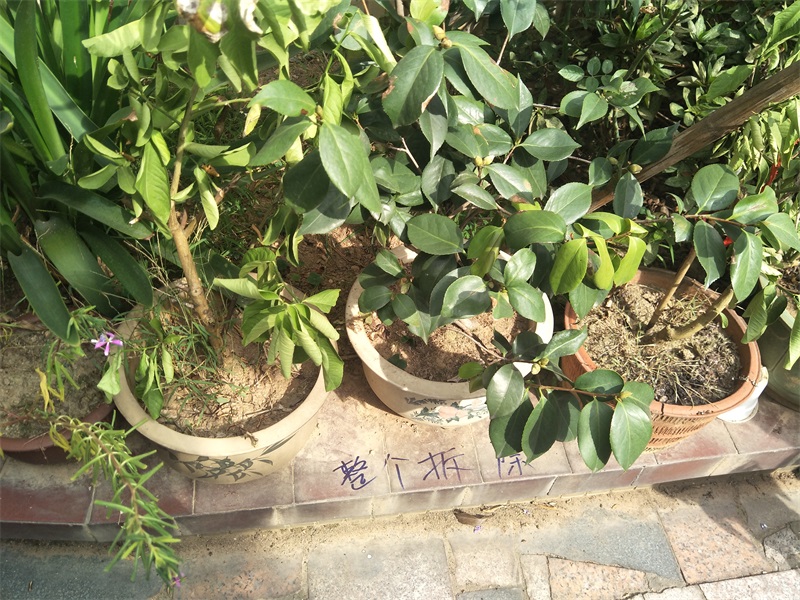 IMG20181001092625.jpg