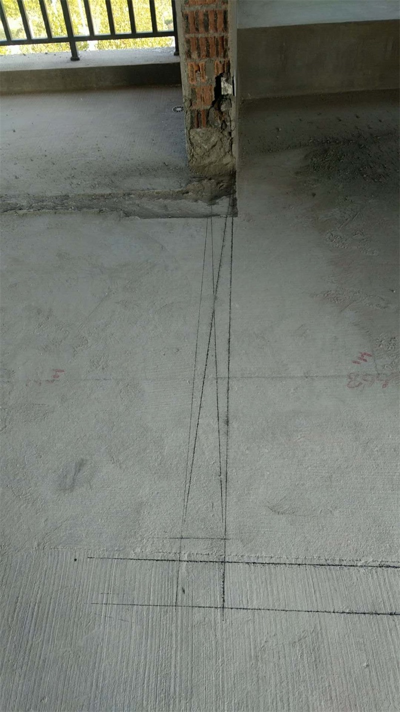 49123120872256551.jpg