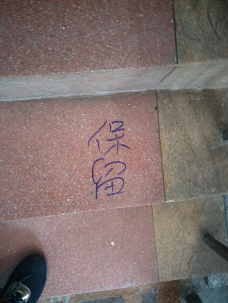 IMG20181001093004.jpg