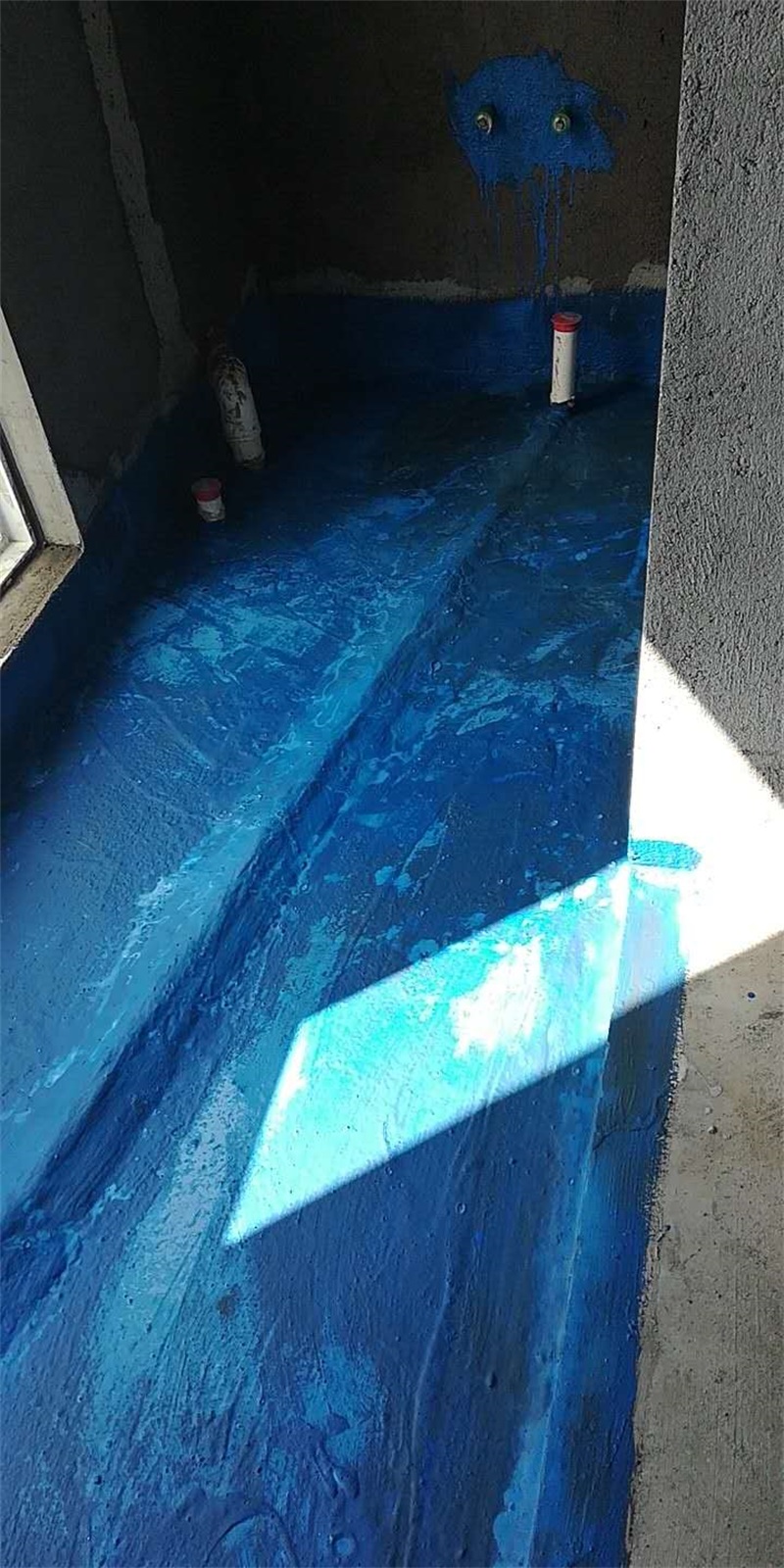 501358969929773267.jpg