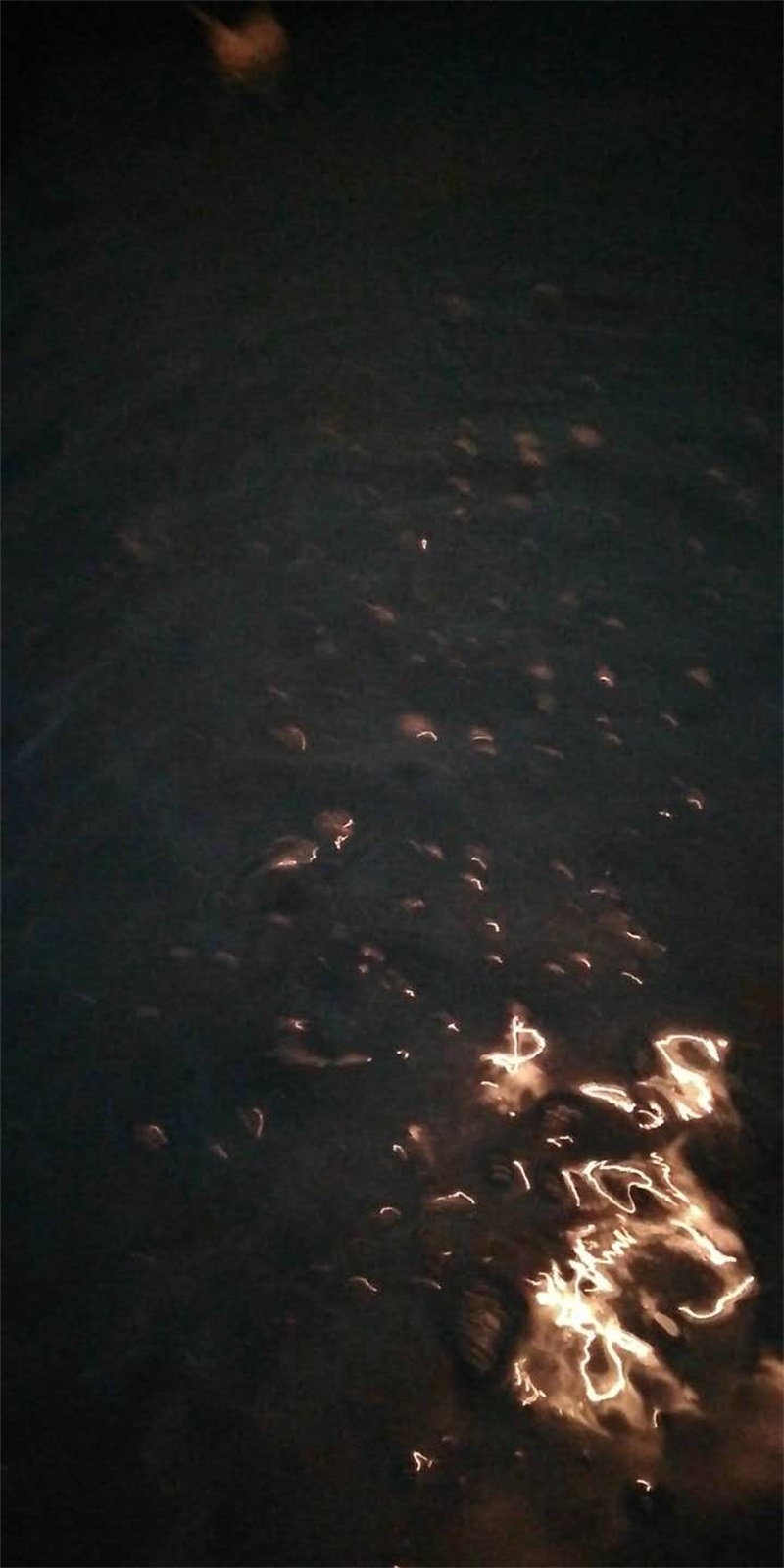 299330727039752593.jpg