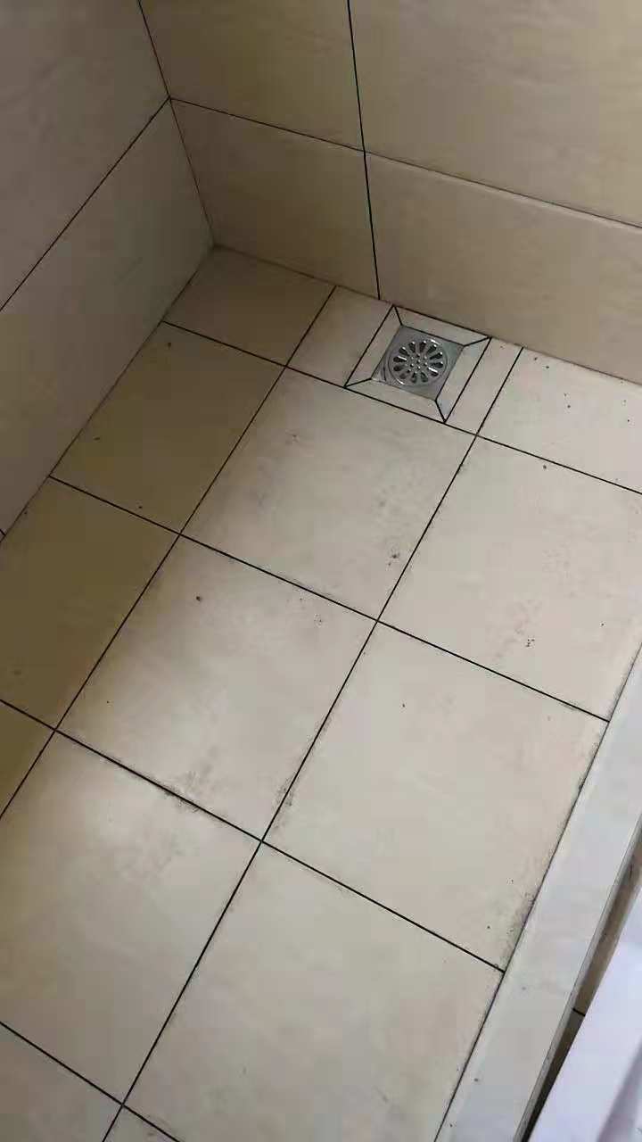 645532558726331855.jpg