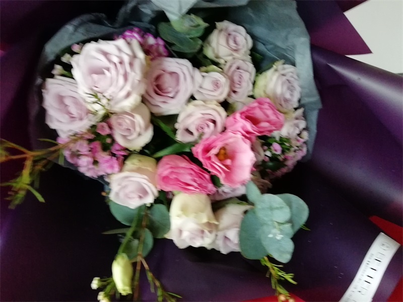 IMG_20181014_071538.jpg