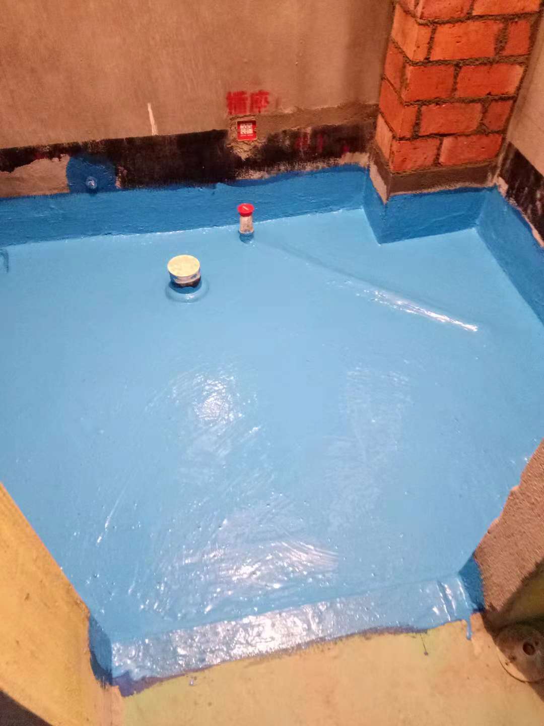 68535945807051389.jpg