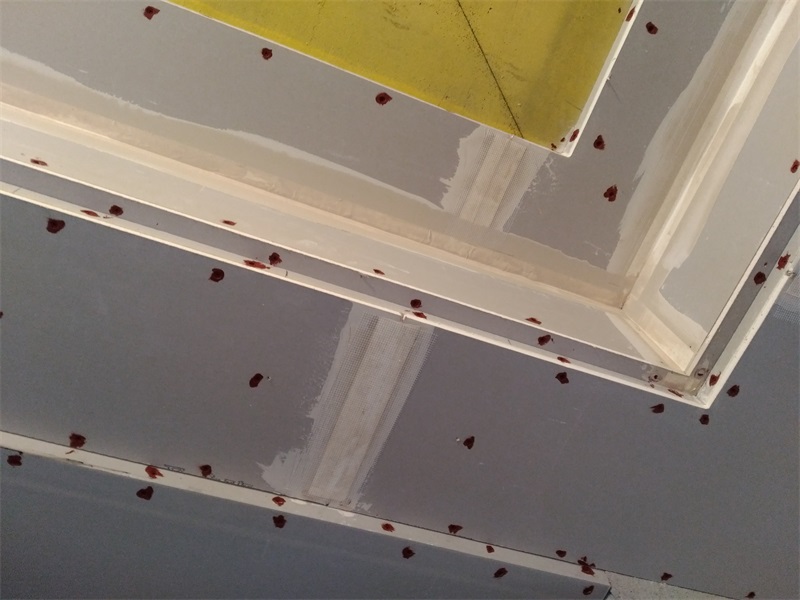 IMG_20181016_130301.jpg