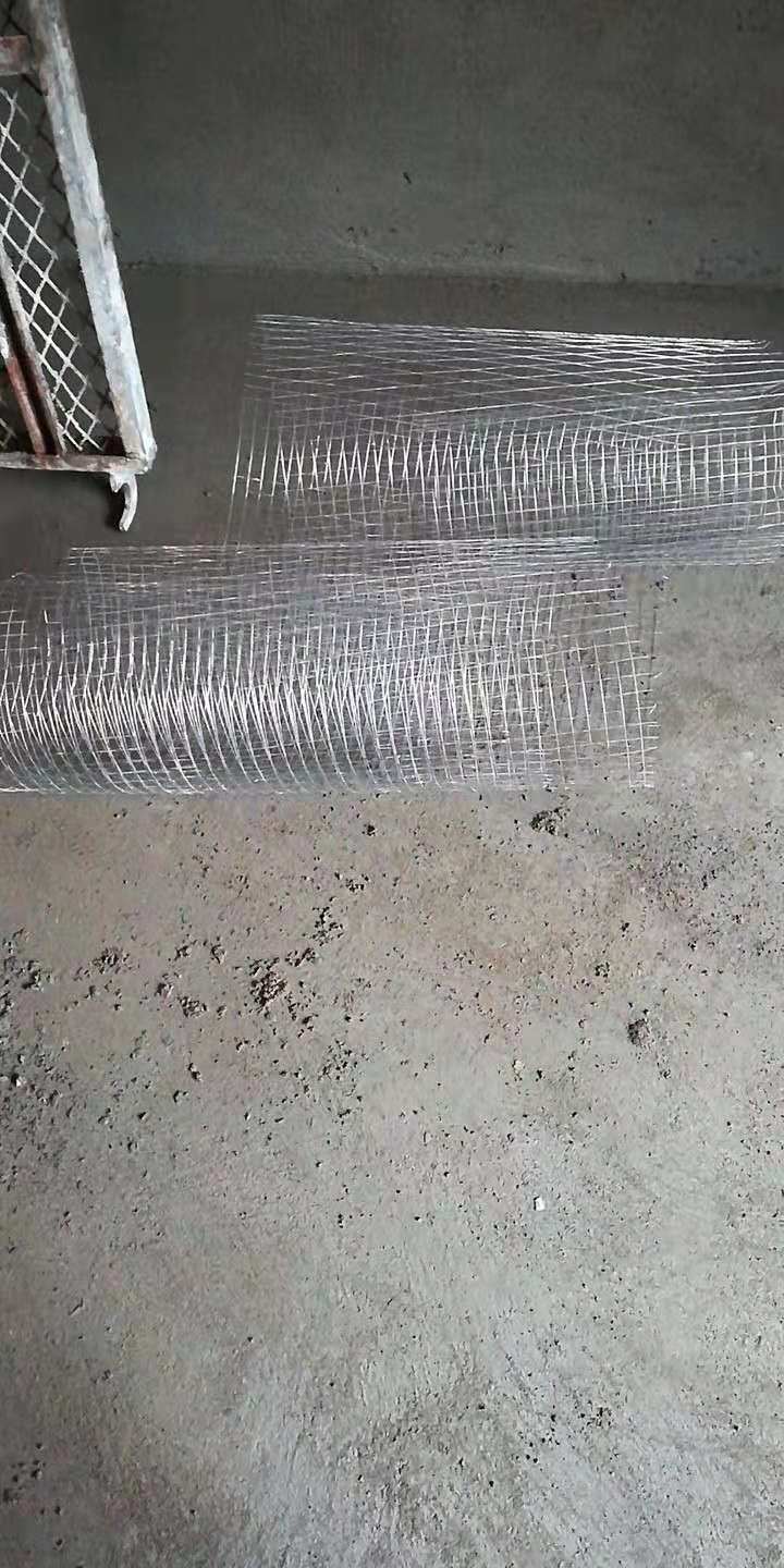 10208560062420944.jpg