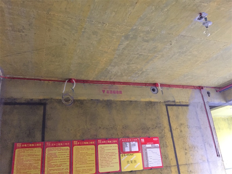IMG_5957.JPG