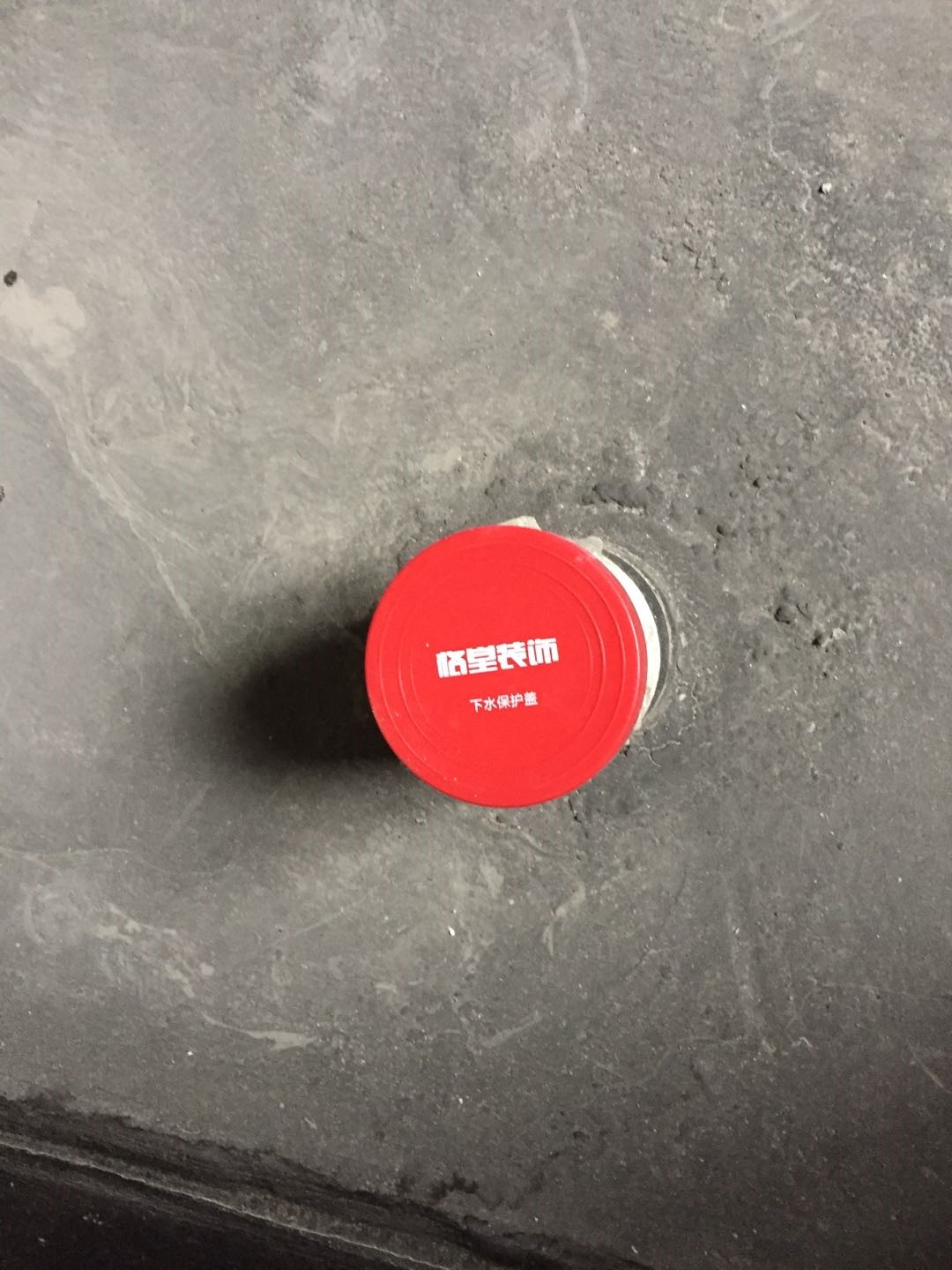 225763381585411917.jpg