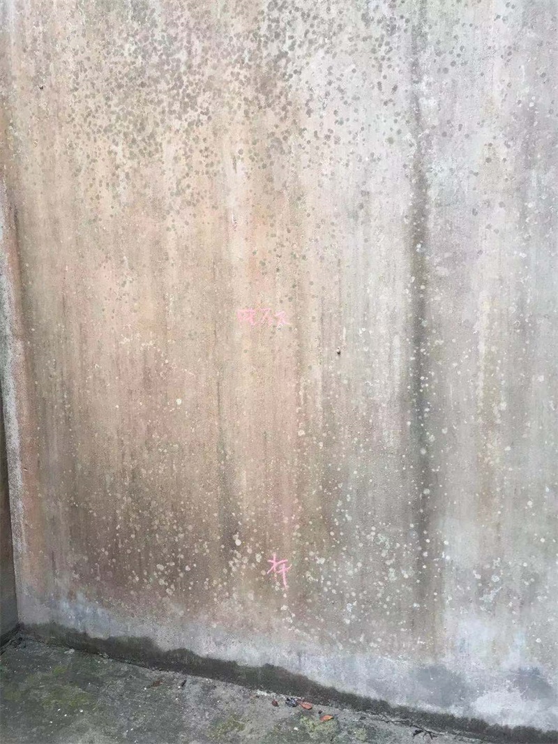 341526953042189394.jpg