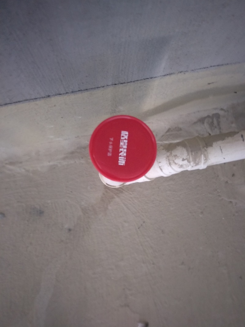 IMG20181028092459.jpg