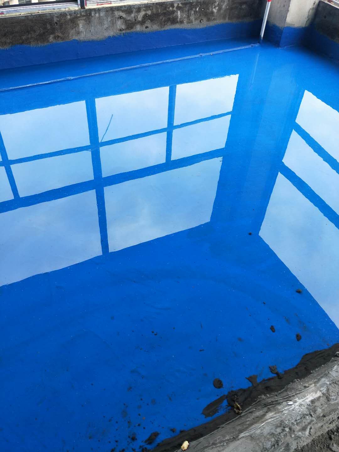 316664627564196880.jpg