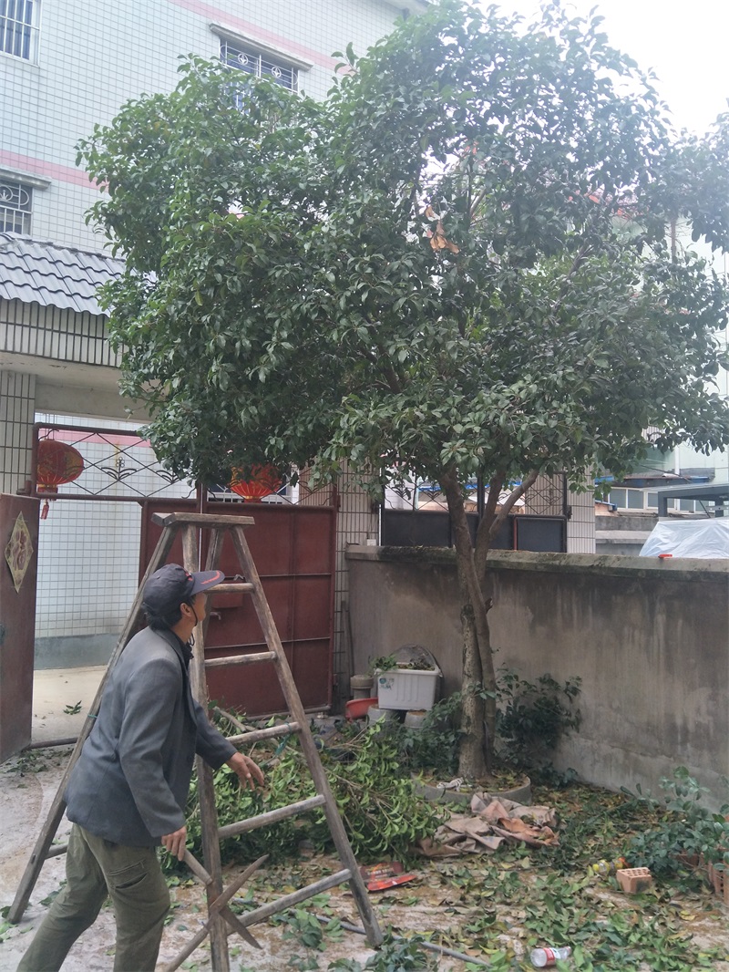 IMG20181102105832.jpg