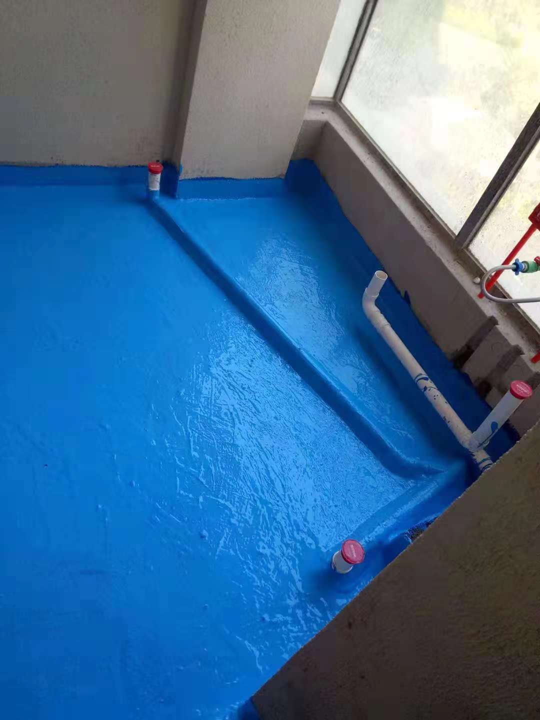 482814060037488912.jpg
