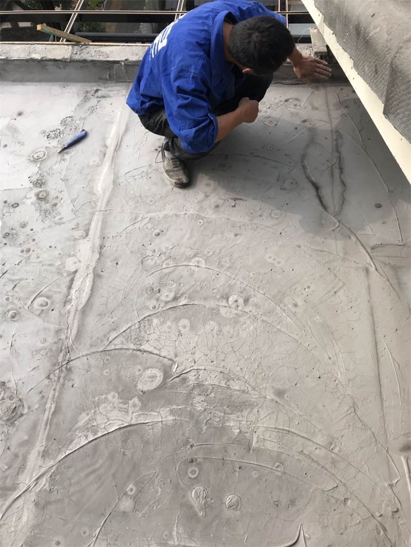178141029173841875.jpg