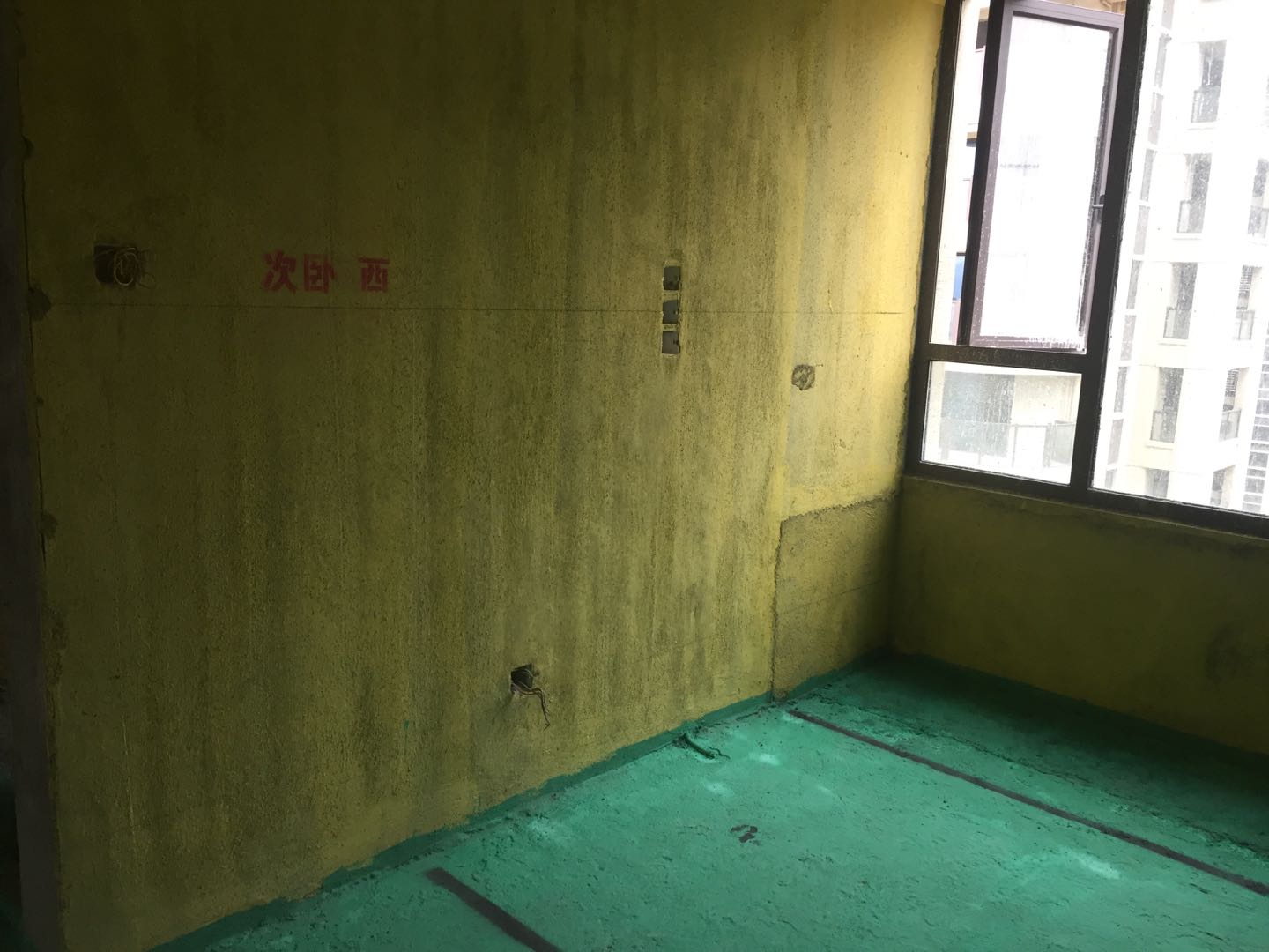 4510707226825560.jpg