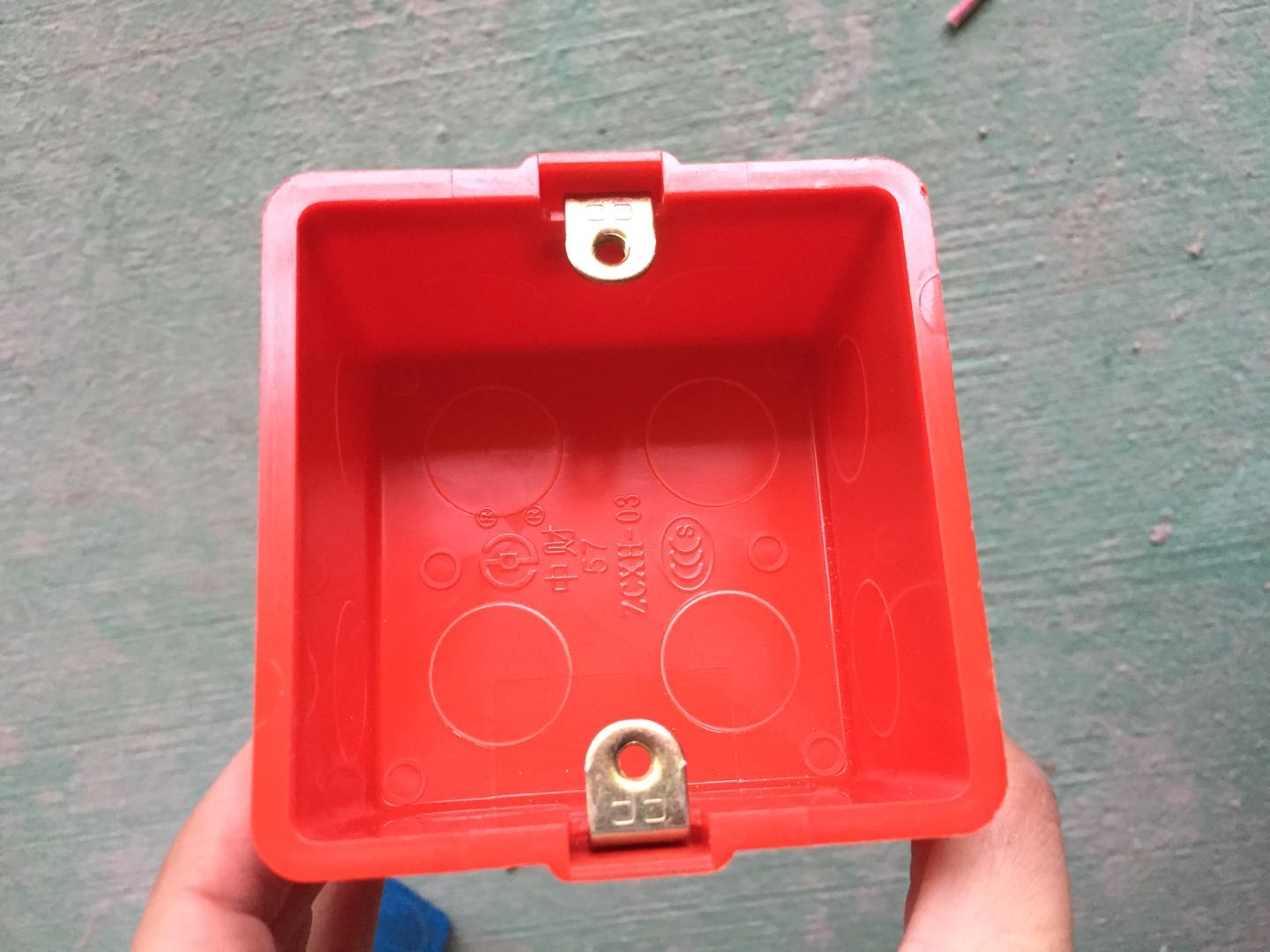 5203163049913094.jpg