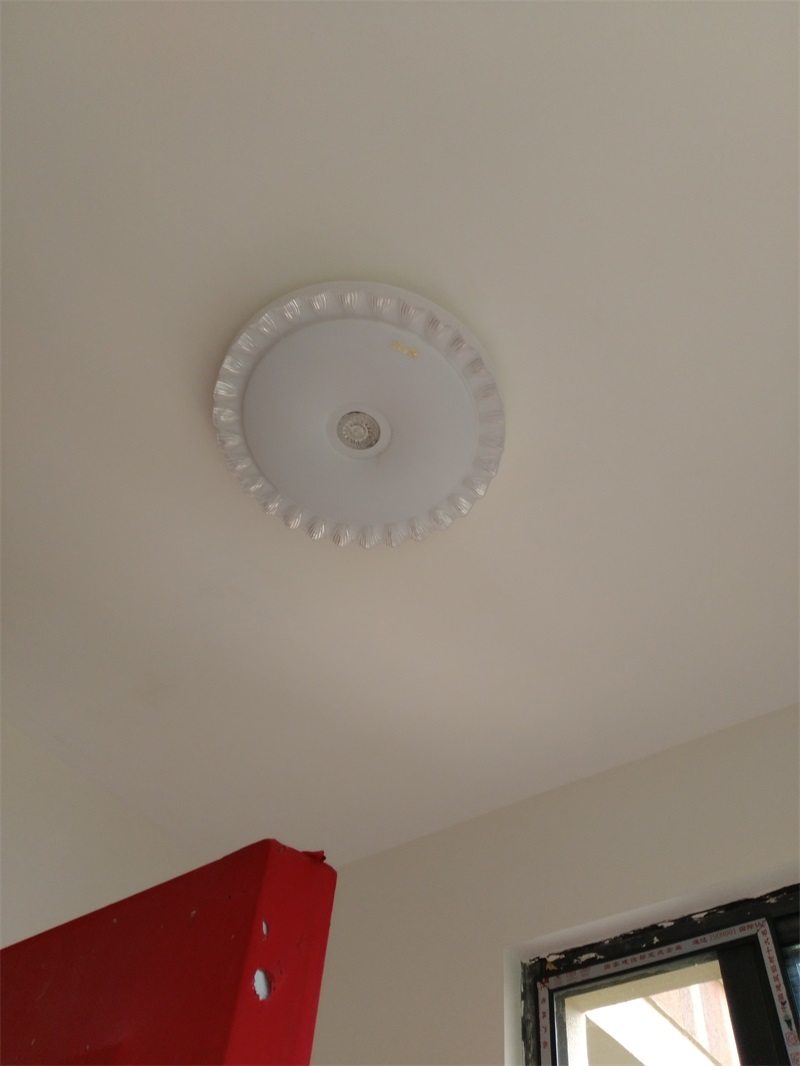 IMG_20181103_152530_BURST002.jpg